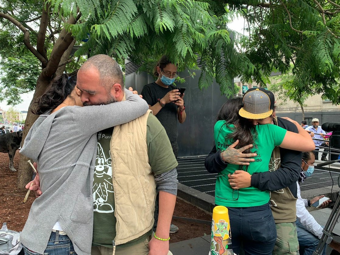 APRUEBA LA SUPREMA CORTE EL USO RECREATIVO DE LA MARIGUANA. APRUEBA LA SUPREMA CORTE EL USO RECREATIVO DE LA MARIGUANA.