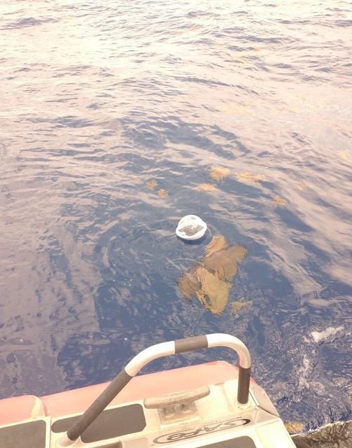 La SEMAR y la Universidad Autónoma de Baja California liberan Sondas Oceanográfi