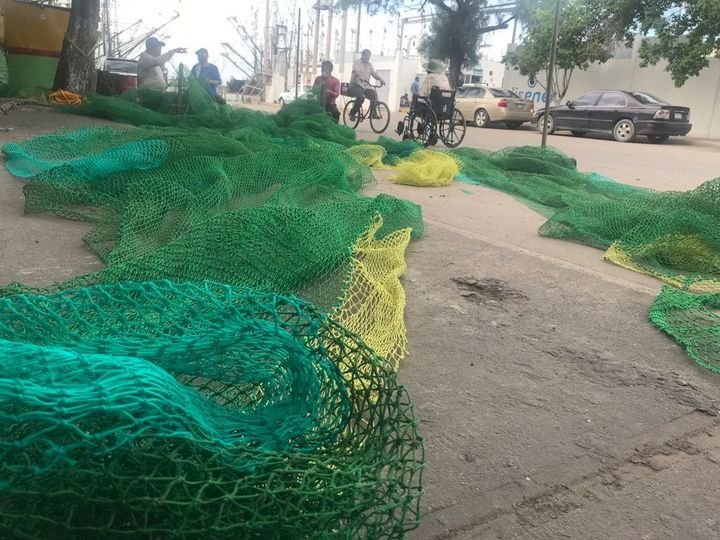 Rederos de Mazatlán resienten la crisis de la pesca