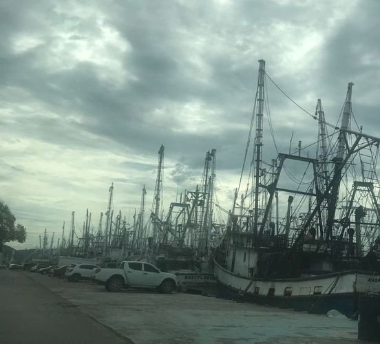 Revisa Dispositivos Excluidores de Tortuga a la flota de Mazatlán Revisa Dispositivos Excluidores de Tortuga a la flota de Mazatlán