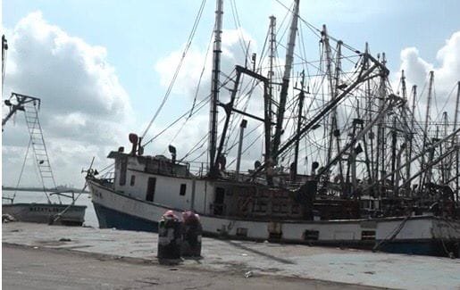 Sin apoyos arranca temporada camaronera en altamar