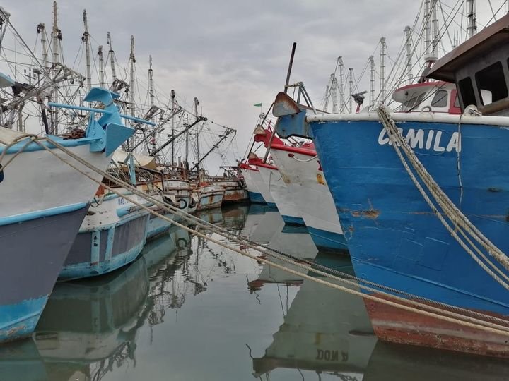 Flota camaronera mexicana obtiene alta calificación