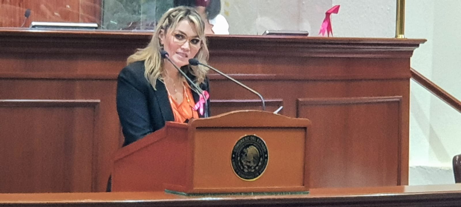 “Seré implacable en el debate e intransigente en la defensa de prioridades socia