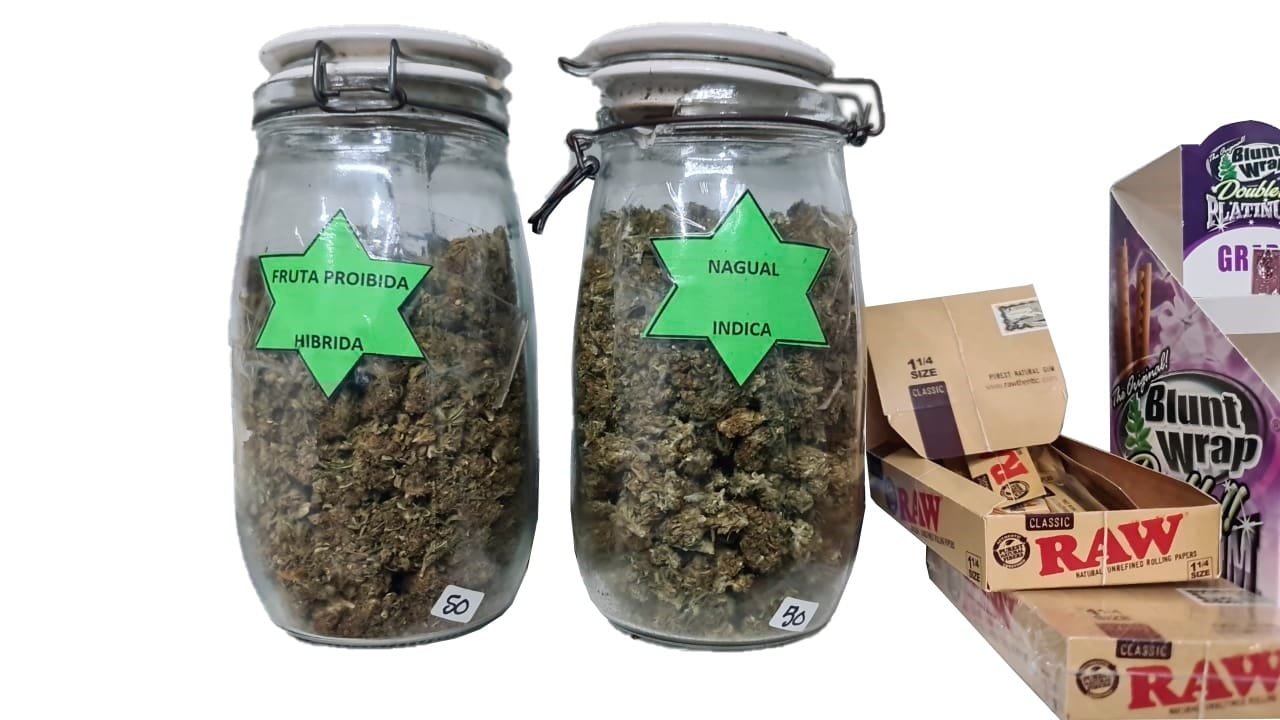 Presunta mariguana es asegurada en inmueble por SEDENA y Policía Estatal Preventiva