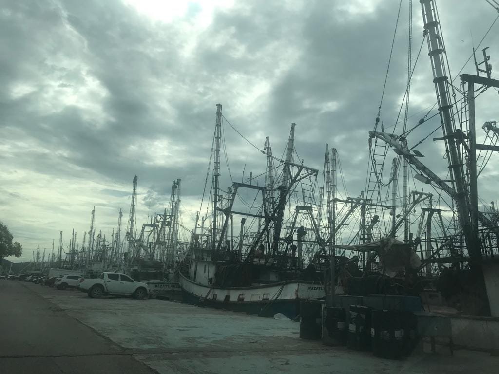 Amarra el 60% de la flota camaronera en Mazatlán por incosteabilidad