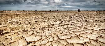 Estudio revela las 20 megaciudades que tendrán escasez de agua en 2050