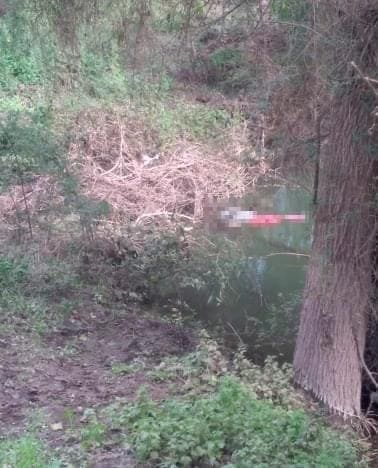 Identifican a joven encontrada sin vida en un canal de Ahome