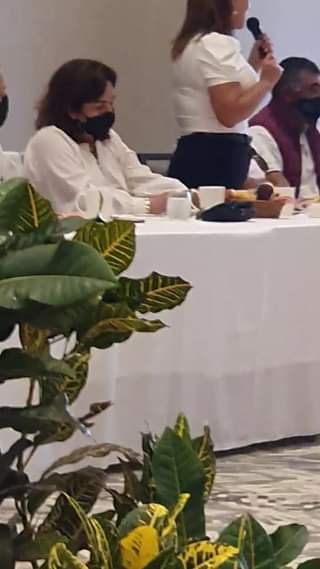 La excandidata a diputada federal por la alianza PRI-PAN-PRD, Paloma Meneses,