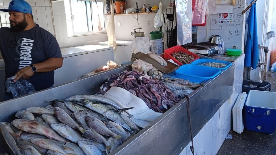 Reportan comerciantes de pescados y mariscos un ligero incremento en ventas en p