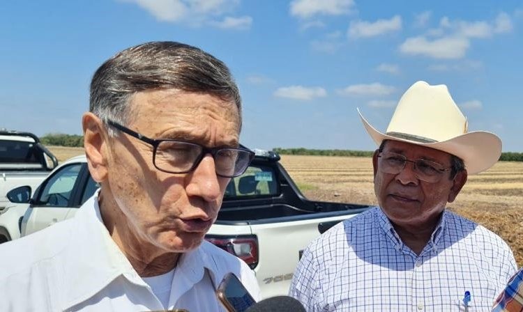 *Debido a lo caro de los insumos para la producción de alimentos, desde Sinaloa