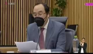 LAS IRREGULARIDADES SEÑALADAS POR EL INE Y LA INTROMISIÓN DEL GOBIERNO EN EL P