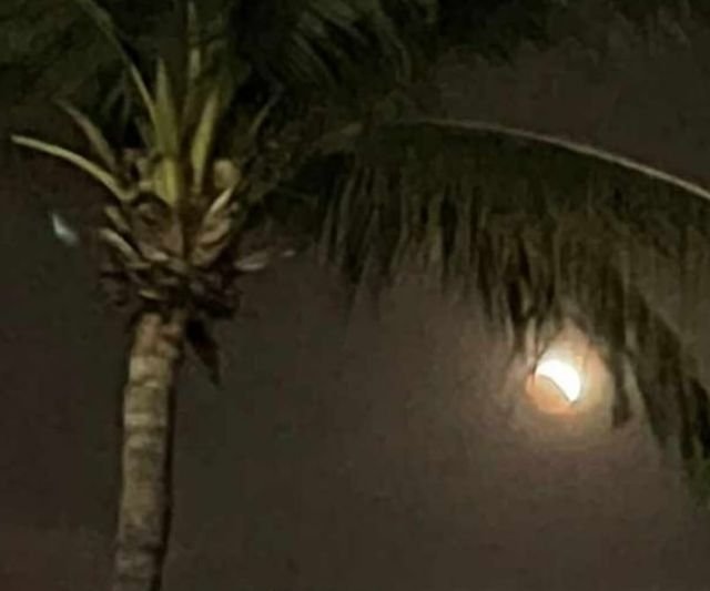 ECLIPSE BAJO LA PALMERA, EXCELENTE TOMA DE UNA SEGUIDORA DE FG NOTICIAS.