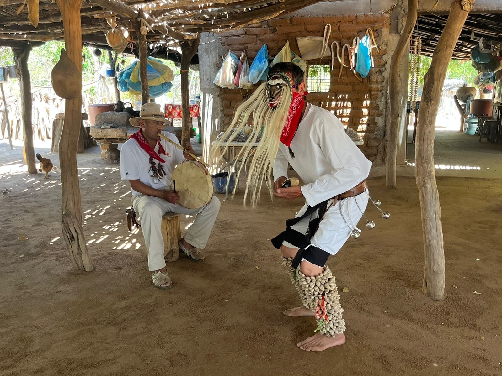 Mantiene Promotur Sinaloa intensa campaña del programa “Atrévete a vivir el turi Mantiene Promotur Sinaloa intensa campaña del programa “Atrévete a vivir el turi