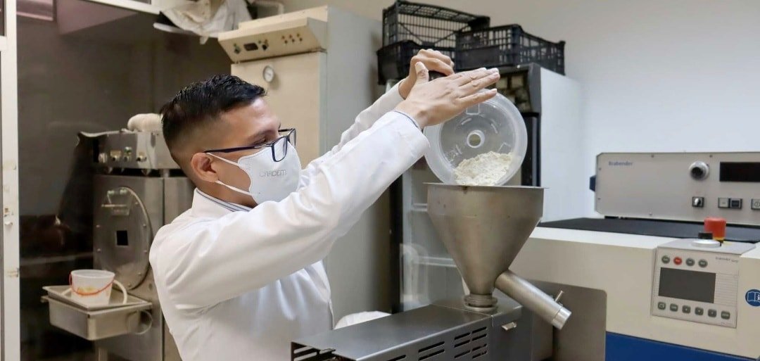 Elaboran harina de maíz azul y frijol tépari con alto valor nutricional