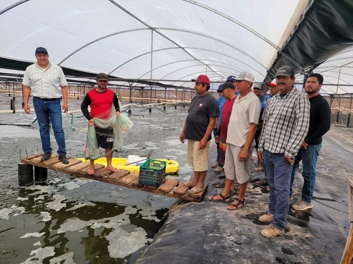Inicia este viernes pagos del Bienpesca 2022