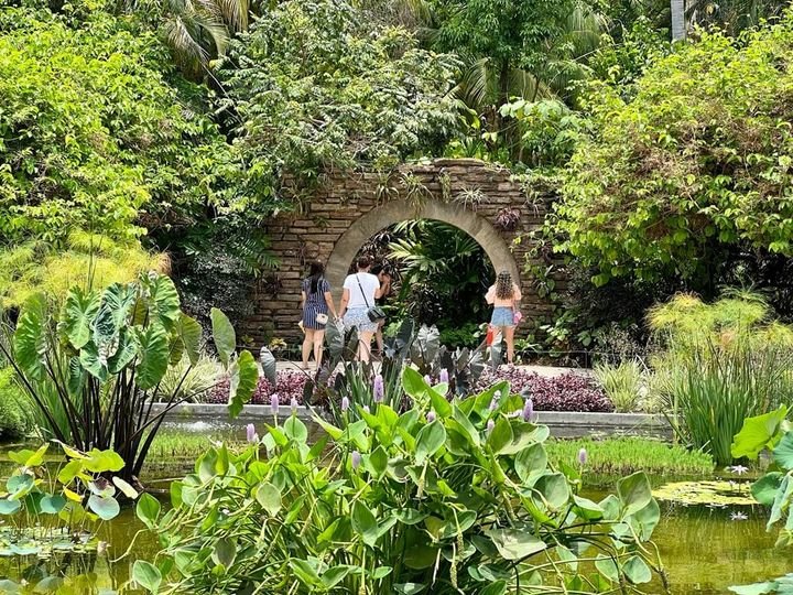 Periodistas de CDMX llegan a Sinaloa para promover sus atractivos turísticos