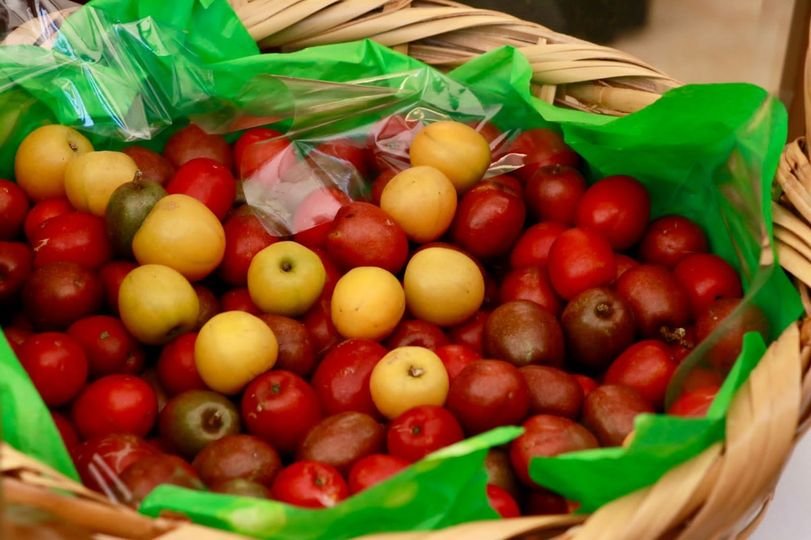 Todo listo para celebrar La Feria de la Ciruela en Agua Caliente de Gárate
