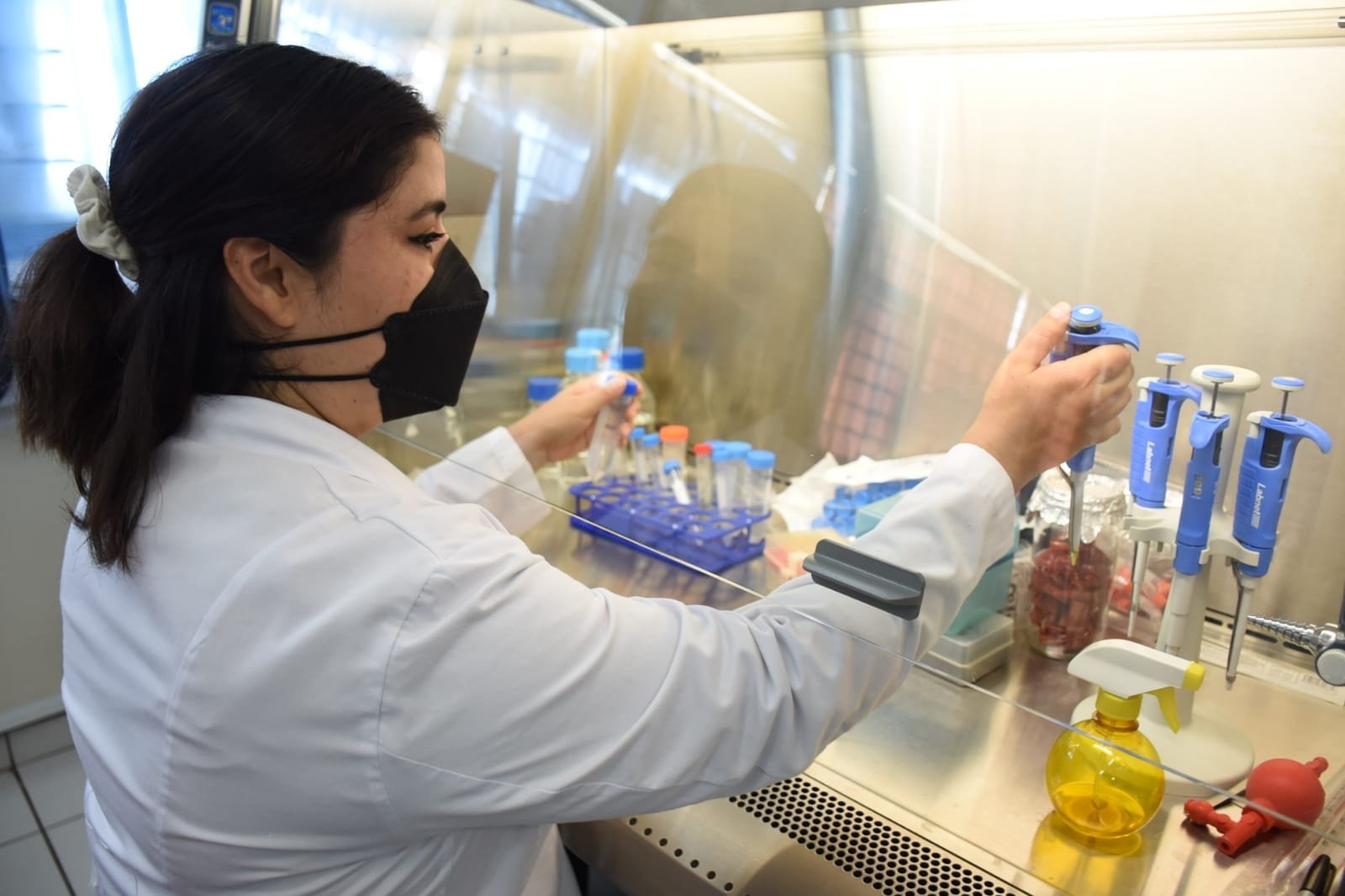 Detectan investigadores de la FCQB un nuevo tipo de salmonella que afecta a las