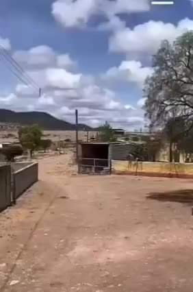 Este video circula en redes sociales. En realidad no se sabe dónde es, pero ha
