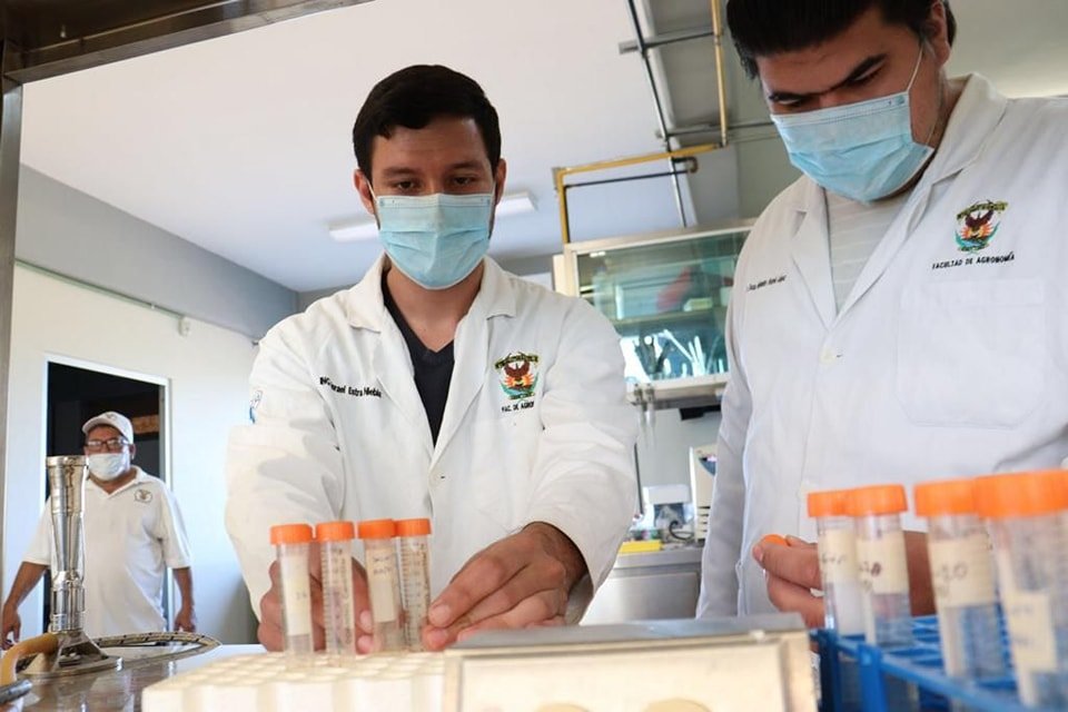 Contribuye la UAS al desarrollo de conocimiento de alto nivel a través de sus po