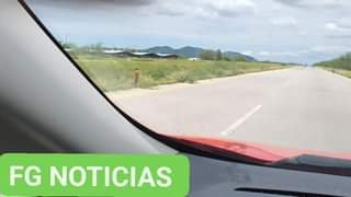 Dejas Sinaloa y su carretera de asfalto; entras a Sonora y te recibe una hermosa