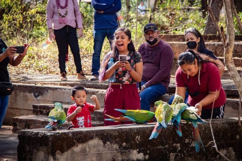 El ‘warning’  no ha impactado a la actividad turística:  Rosario Torres Noriega