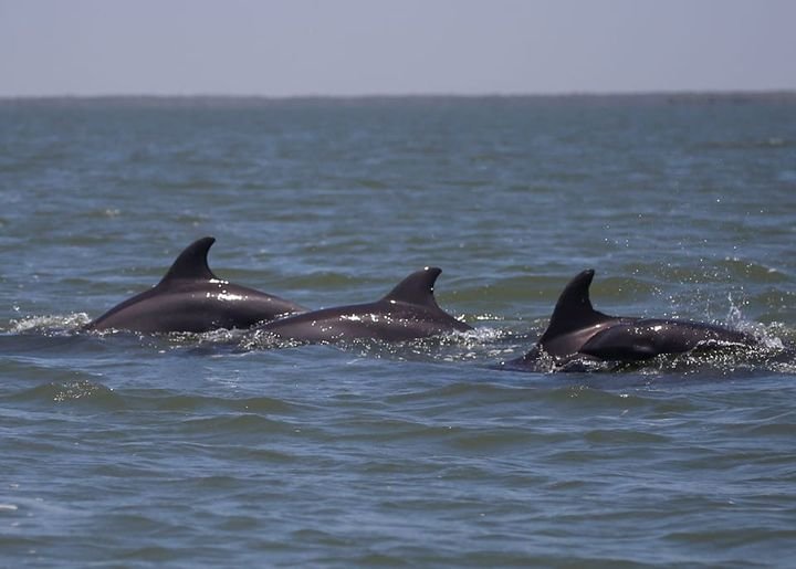 PROMOTUR – Sinaloa colaborará con CODESIN zona centro norte en promoción turísti