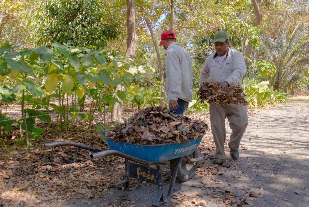 Promueve Sociedad Botánica y Zoológica de Sinaloa IAP la inclusión laboral de pe