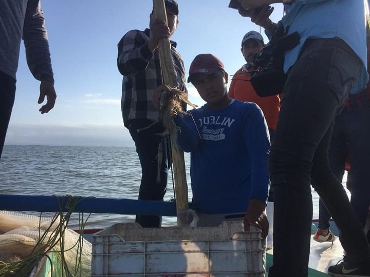 Recurso del Bienpesca Estatal se entregará en Septiembre: Guerra Mena