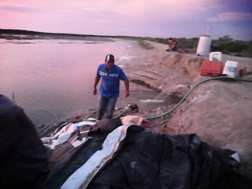 Capturas de camarón iniciarán en medio de la incertidumbre