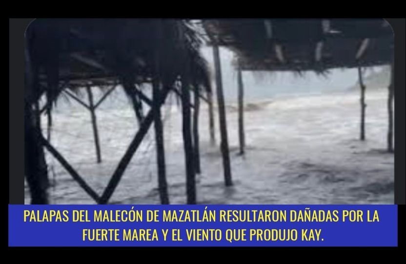 PALAPAS DE LA AV. DEL MAR EN MAZATLÁN RESULTARON DAÑADAS POR VIENTO Y OLEAJE.