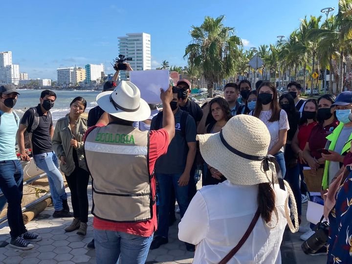 Realizan avistamiento de aves en Playa Norte de Mazatlán