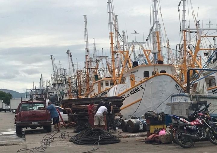 Se reactiva el movimiento en el muelle pesquero en víspera del arranque de la te