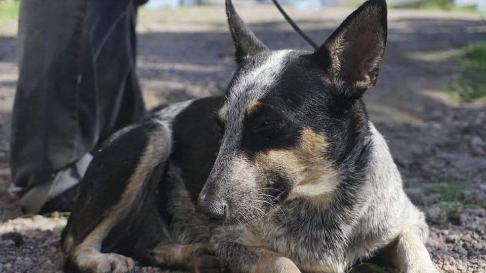 ANTE EL RIESGO DE QUE “ORLANE” TOQUE TIERRA EN MAZATLÁN, LLAMAN A RESGUARDAR MAS