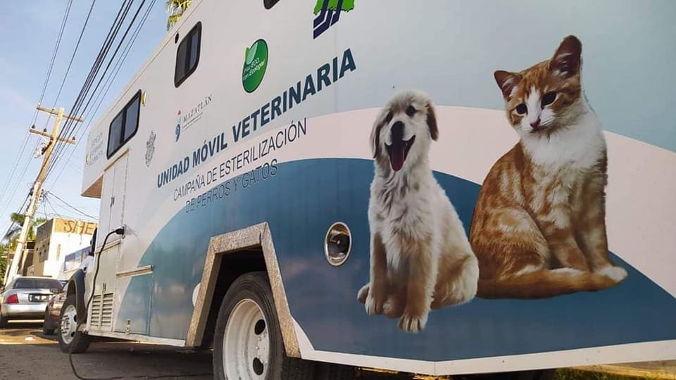 Las jornadas de esterilización se realizan de las 8:00 a las 14:00 horas en ruta Las jornadas de esterilización se realizan de las 8:00 a las 14:00 horas en ruta