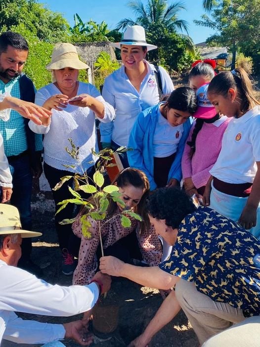 Dan ‘banderazo’ de inicio de arborización en Teacapán en circuito de “Coloreando
