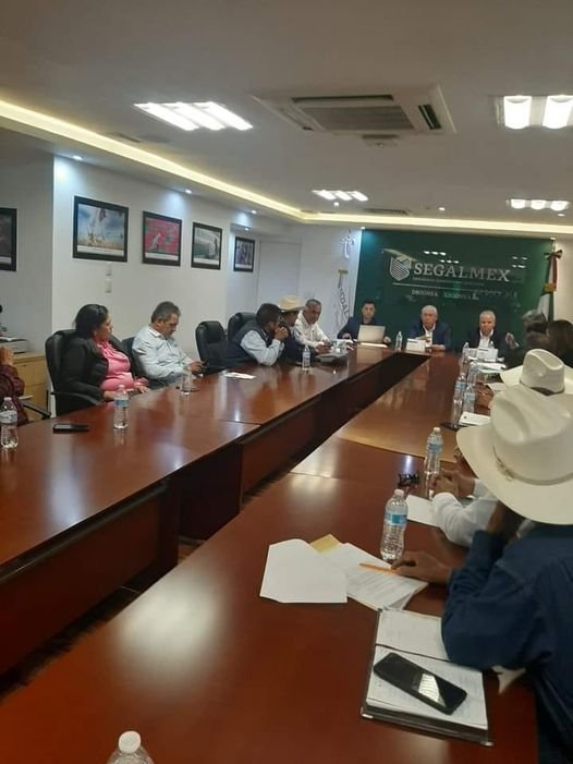 Entrega Segalmex el apoyo de coberturas a 3779 productores: SAyG