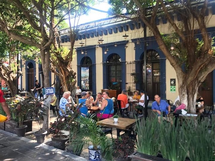 Esperan hoteleros buena temporada invernal para Mazatlán Esperan hoteleros buena temporada invernal para Mazatlán