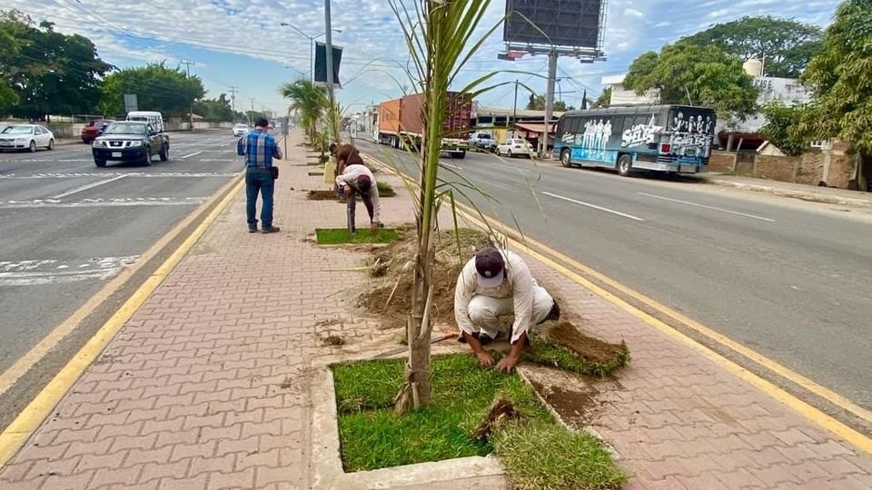 *Gobierno Municipal embellece acceso norte de la ciudad* *Gobierno Municipal embellece acceso norte de la ciudad*