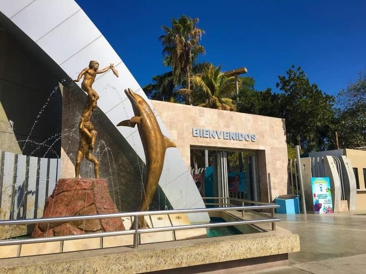 ANUNCIA ACUARIO MAZATLÁN HORARIOS DE FUNCIONES Y TAQUILLA PARA NAVIDAD Y FIN DE