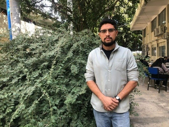 Guayacán: el árbol endémico del noroeste del país que está en peligro de extinci Guayacán: el árbol endémico del noroeste del país que está en peligro de extinci