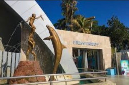 ANUNCIAN EN VERACRUZ EL CIERRE DEL ACUARIO MAZATLÁN Y SU TRASLADO A ESE ESTADO. ANUNCIAN EN VERACRUZ EL CIERRE DEL ACUARIO MAZATLÁN Y SU TRASLADO A ESE ESTADO.