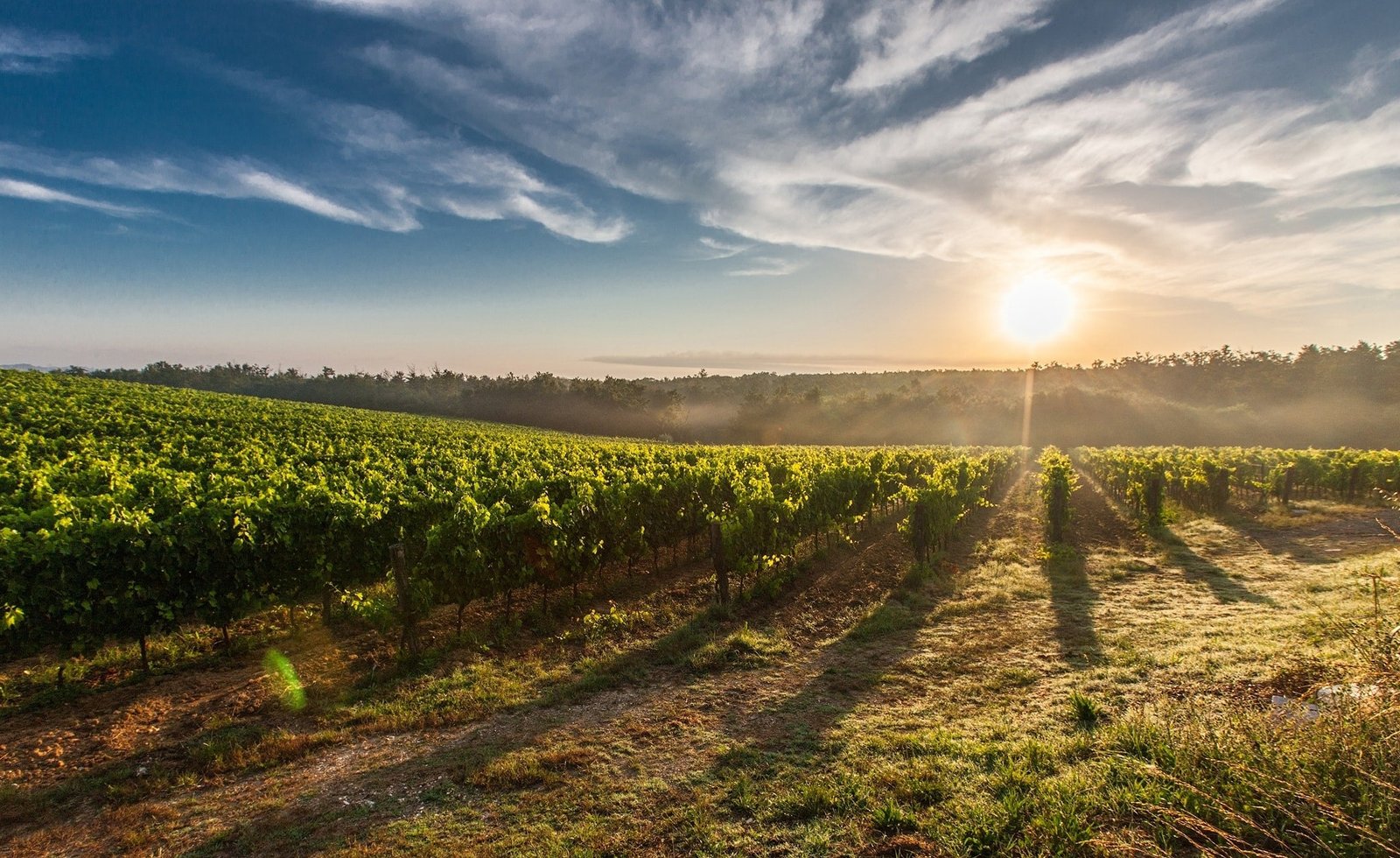 Cabañuelas: la práctica ancestral para pronosticar el clima
