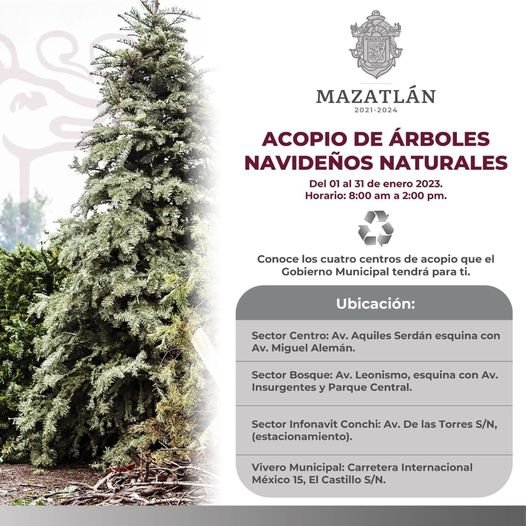 *¡No los tires! Servicios públicos continúa con la recolección de pinos navideño
