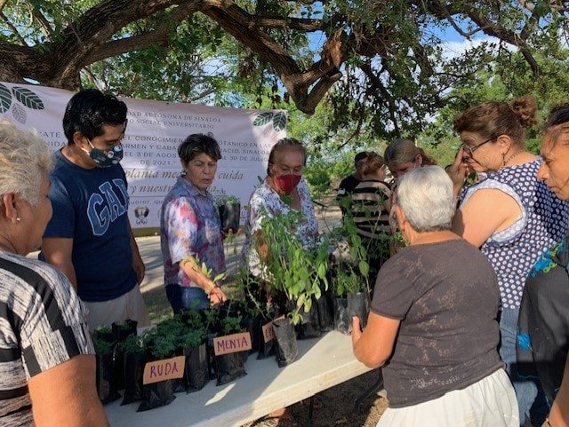 Buscan mantener vivo el conocimiento de pobladores de San Ignacio sobre el uso d Buscan mantener vivo el conocimiento de pobladores de San Ignacio sobre el uso d