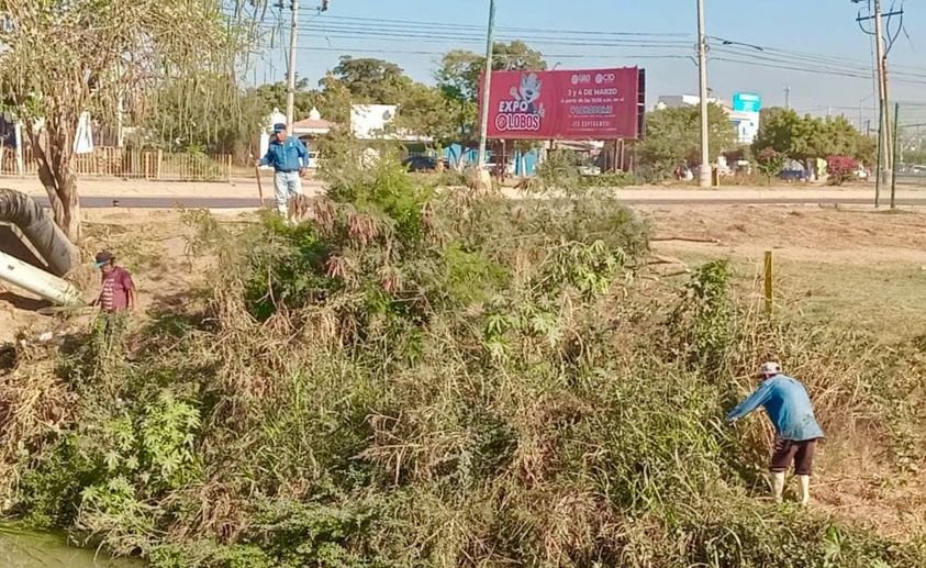 *Obras públicas realiza trabajo intenso para la limpieza y mejora de las colonia