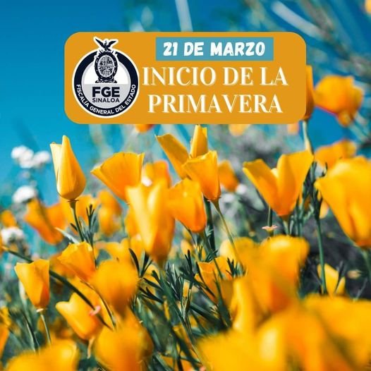 21 de marzo, ¡A disfrutar la Primavera!, época de calor, de regocijo, de unidad. 21 de marzo, ¡A disfrutar la Primavera!, época de calor, de regocijo, de unidad.