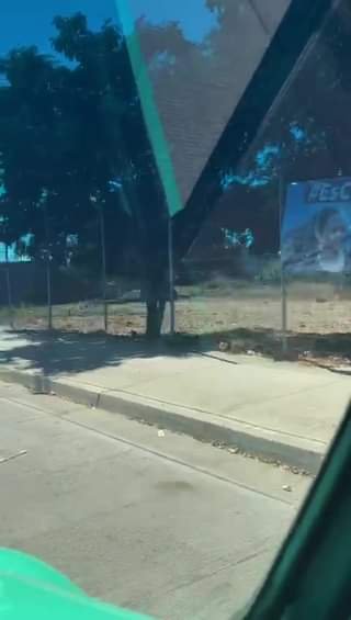 DENUNCIA CIUDADANA…