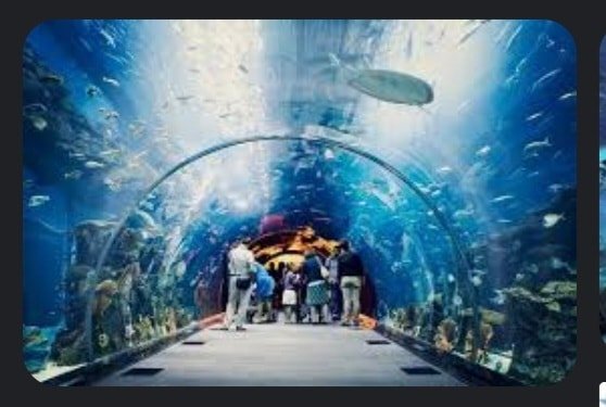 EL GRAN ACUARIO MAZATLÁN ABRIRÁ SUS PUERTAS EL 29 DE ABRIL