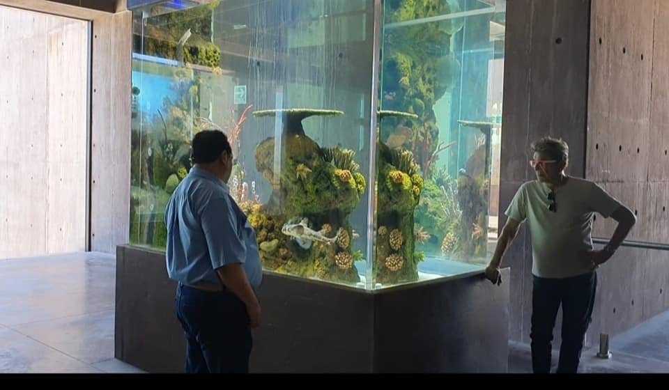 ABRE ESTE SÁBADO SUS PUERTAS «EL GRAN ACUARIO MAR DE CORTÉS».